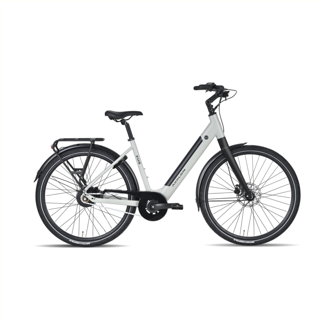 Avalon E-LINQ Dames 50cm matgrijs